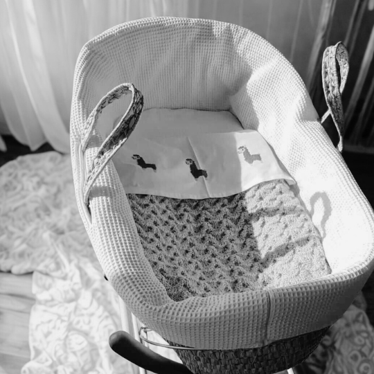 Leeg wiegje als symbool voor het verlies van baby Felix en het verdriet van een moeder zonder kind Leeg wiegje als symbool voor het verlies van baby Felix en het verdriet van een moeder zonder kind